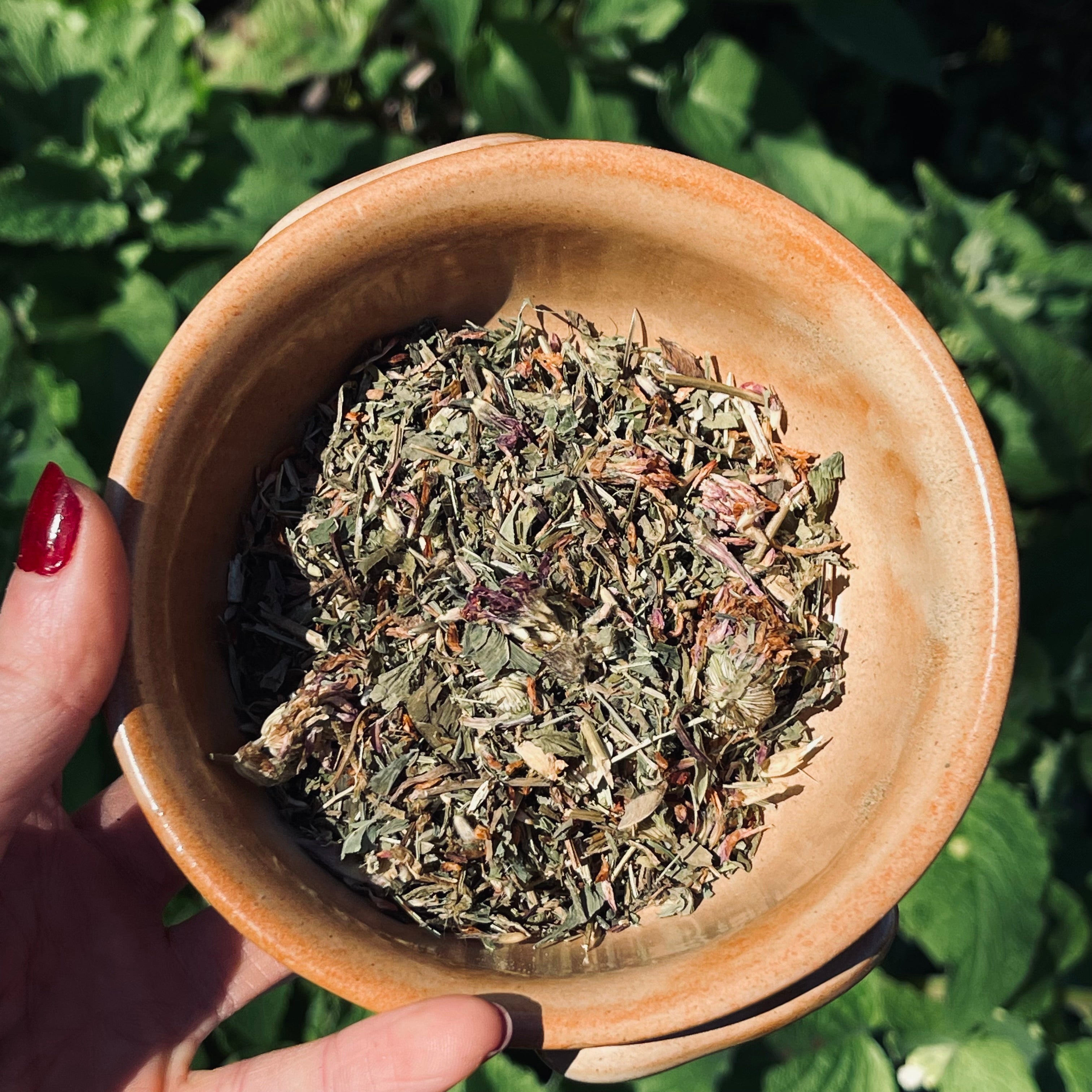 Hand holding a small bowl of dried herbs with green leaves in the background