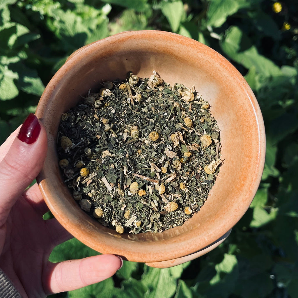 THE TUMMY BUNDLE | Digestive Clarity