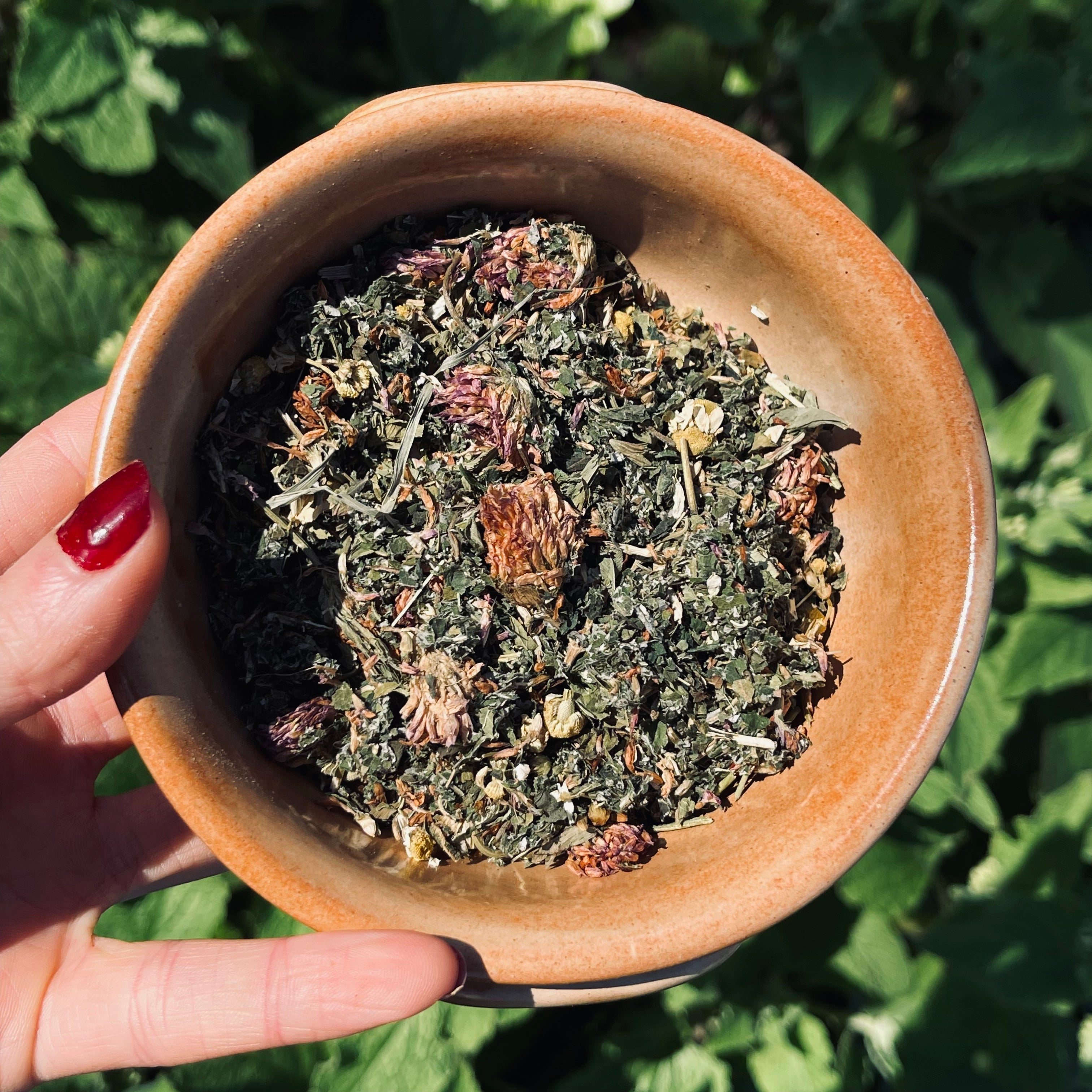 Hand holding a bowl of dried herbs with green leaves in the background
