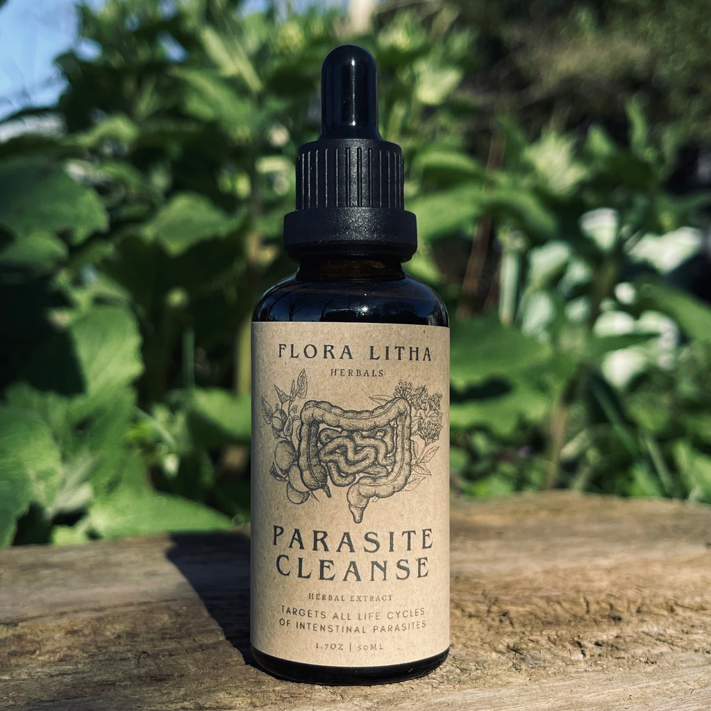 PARASITE CLEANSE | Detox Worms & Heavy Metals