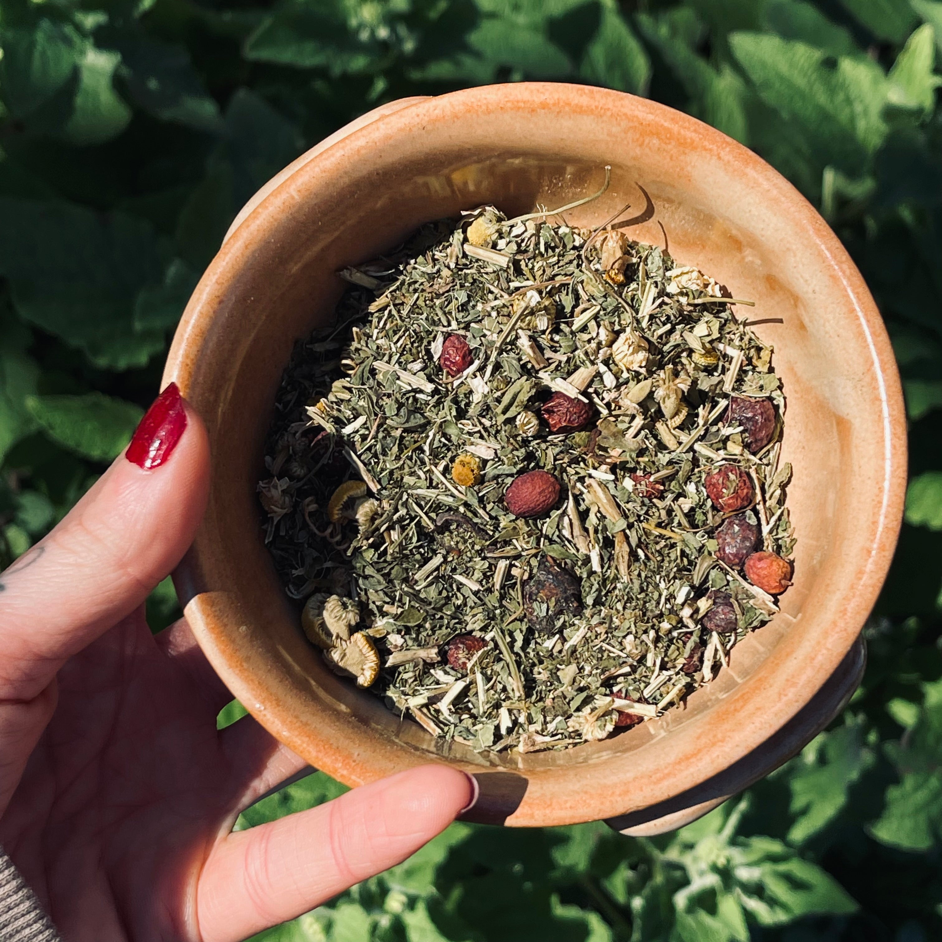 Hand holding a small terracotta bowl filled with dried herbs against a green leafy background